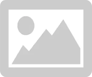 ACCESS COVER PLATE PAINT P-217